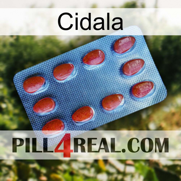 Cidala 06